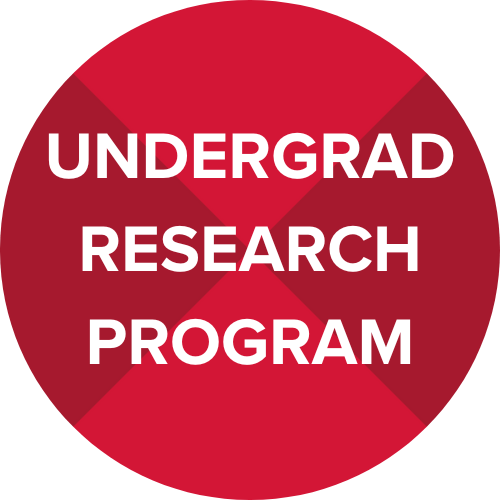 Undergraduate Research Program