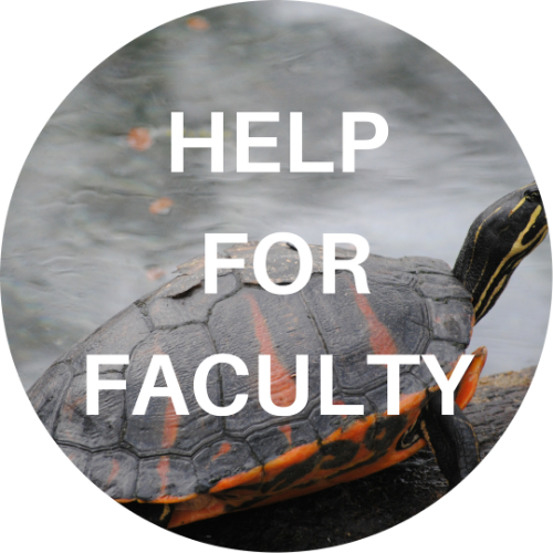 Resources for faculty