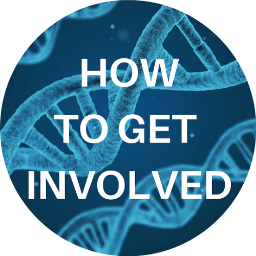 How to get involved