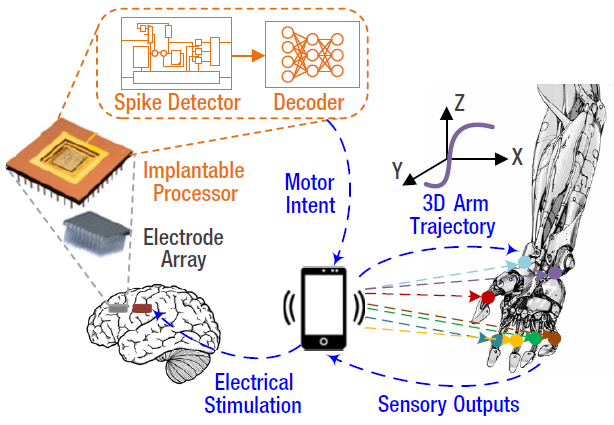 Utilization of the brain-implantable processor in the BCI systems. Illustration by Amir Alimohammad