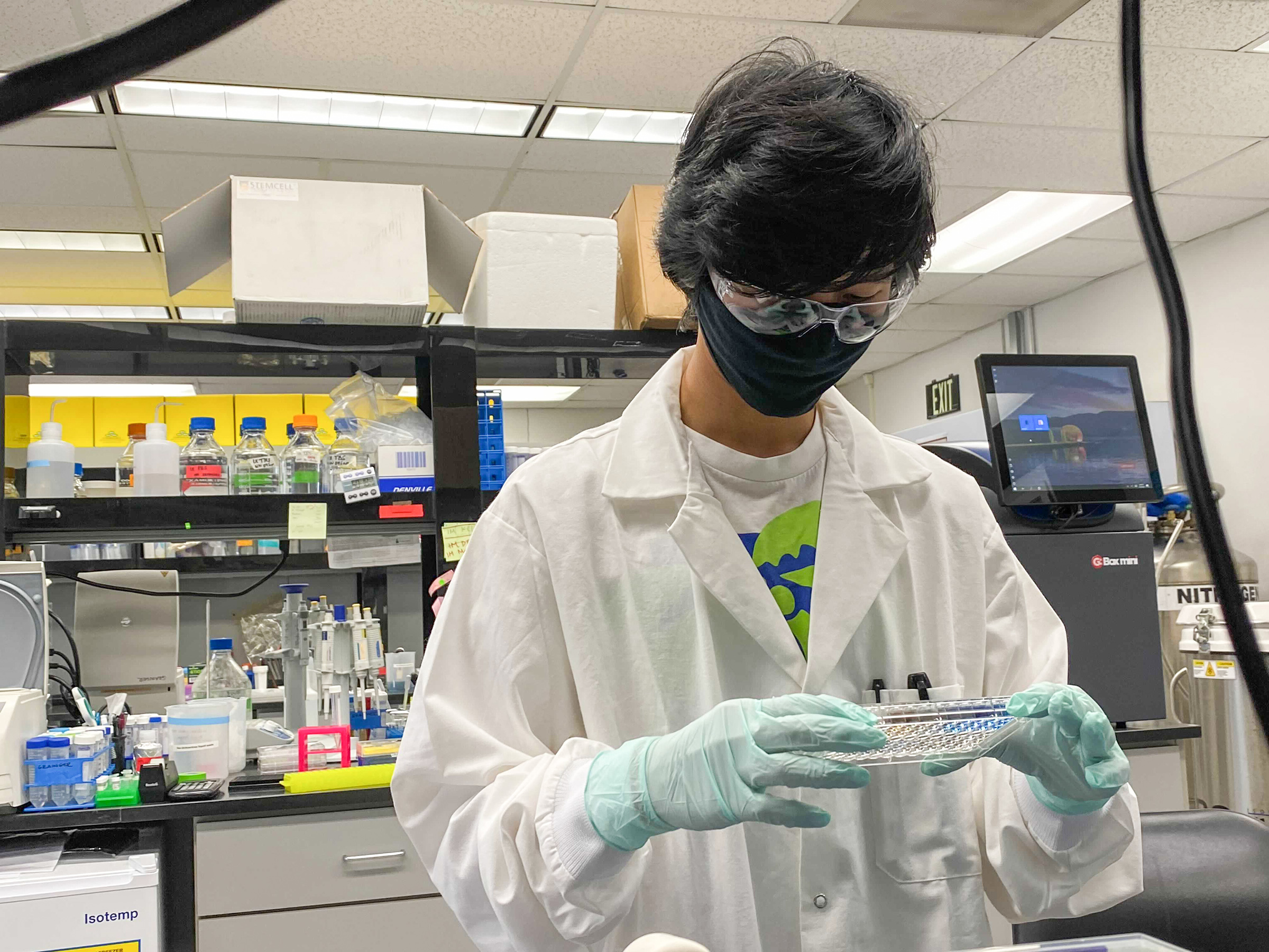 Undergraduate student Dwayne Sese examines his protein lysates