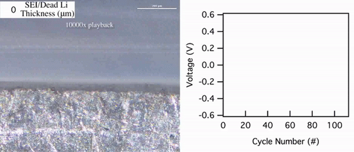 Degradation of battery electrodes during cycling. The black material build up is called Dead-Li, and causes cell failure.