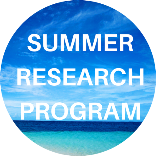 Summer Undergraduate Research Program