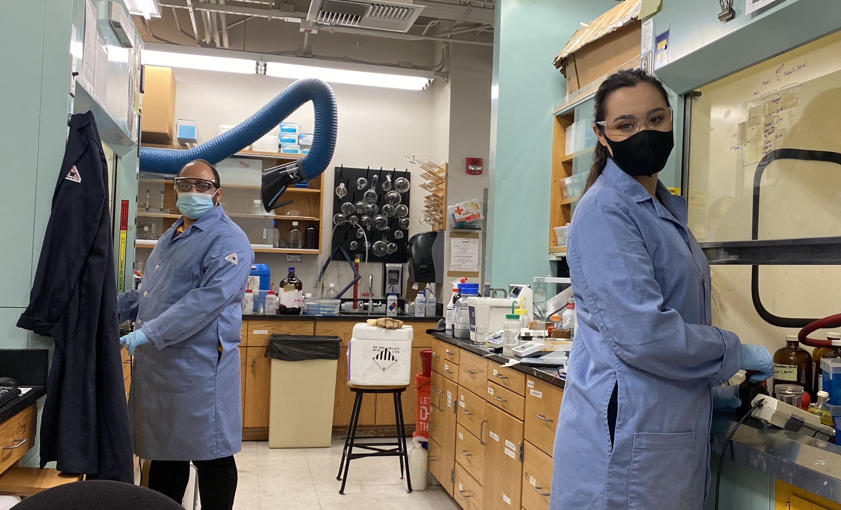 Recent SWC transfer and Mentored Pathways student Sophia Alvarado Hernandez works in the Purse lab with her graduate student mentor, George Samaan. Photo by Dr. Pratibha Kumar
