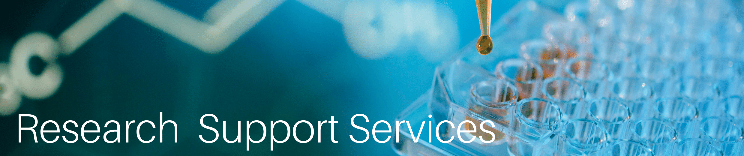 Research Support Services