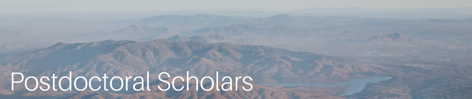 postdoctoral scholars