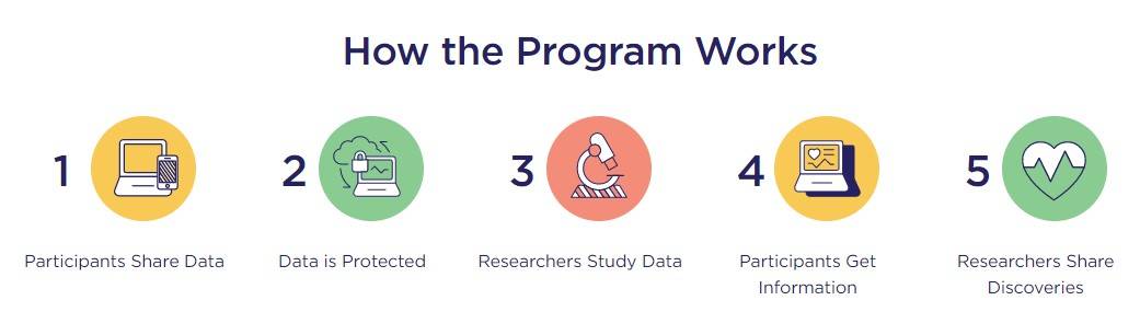 How the Program Works